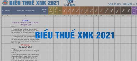 Biểu thuế xuất nhập khẩu 2021