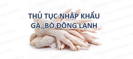 nhập khẩu gà bò đông lạnh