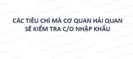 CÁC TIÊU CHÍ MÀ CƠ QUAN HẢI QUAN SẼ KIỂM TRA CO NHẬP KHẨU