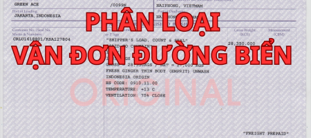 PHAN-LOAI-VAN-DON-DUONG-BIEN