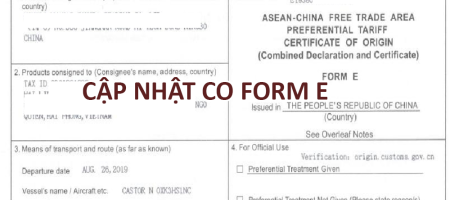 cap-nhat-CO-form-E