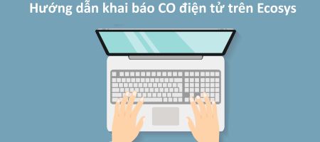 khai báo form D trên ecosys