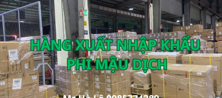 hang-xuat-nhap-khau-phi-mau-dich