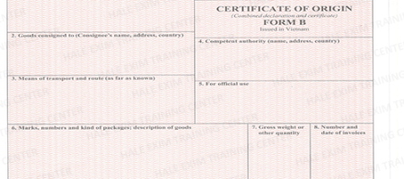 huong-dan-khai-bao-co-form-b