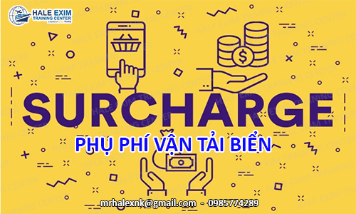 Phí CFS Là Gì Trong Xuất Nhập Khẩu