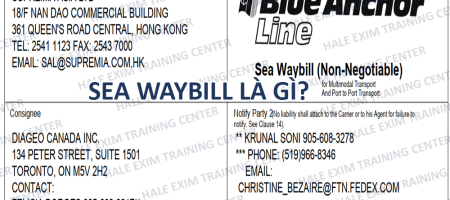 sea-waybill-la-gi