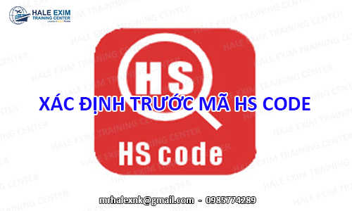 quy-trinh-xac-dinh-truoc-ma-hs-code