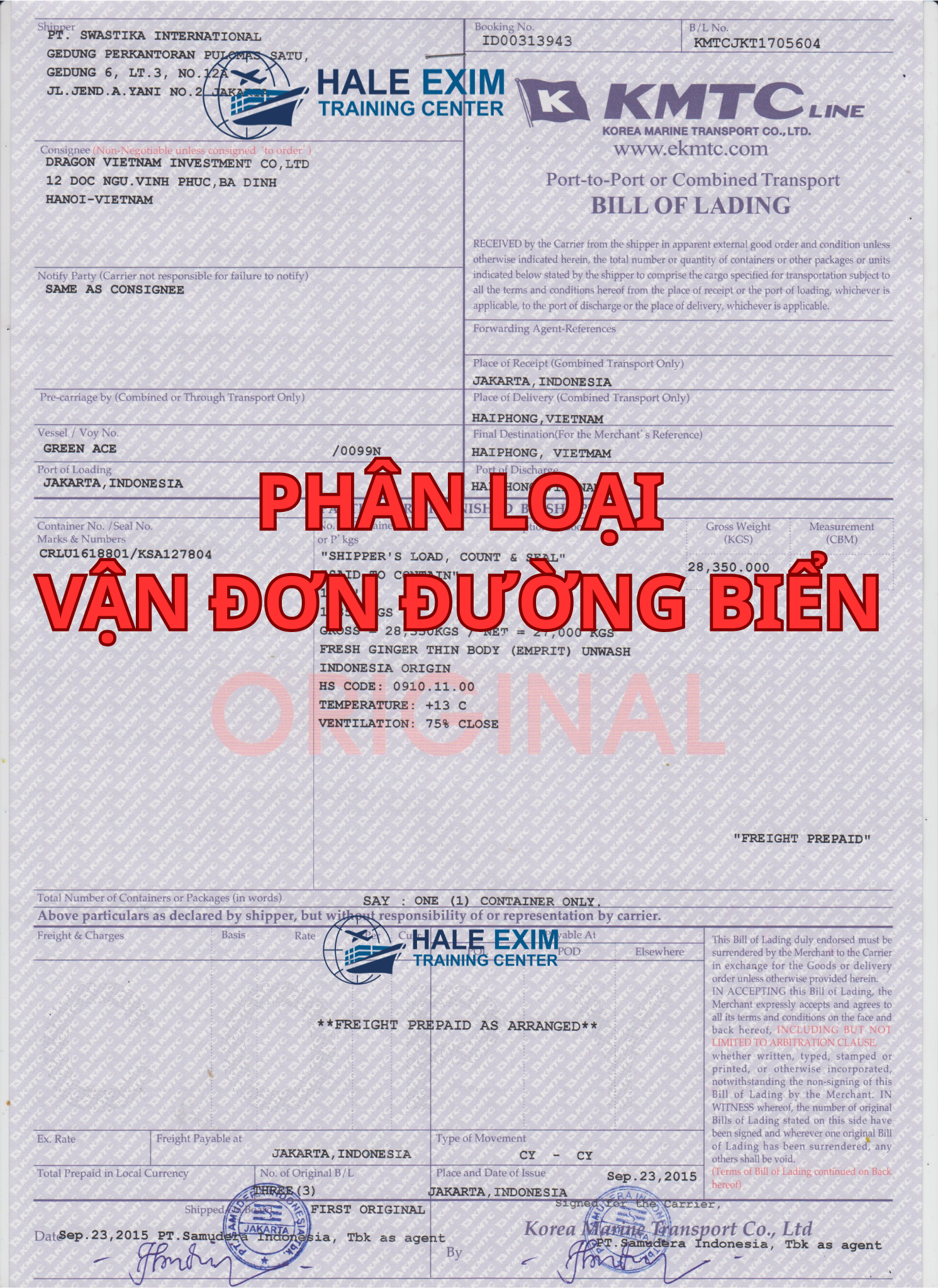 PHAN-LOAI-VAN-DON-DUONG-BIEN