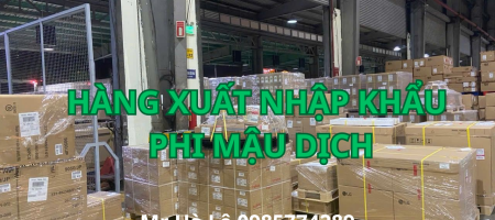 hang-xuat-nhap-khau-phi-mau-dich